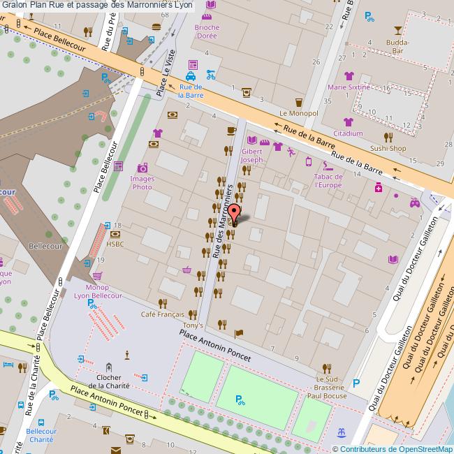 Rue et passage des Marronniers Lyon