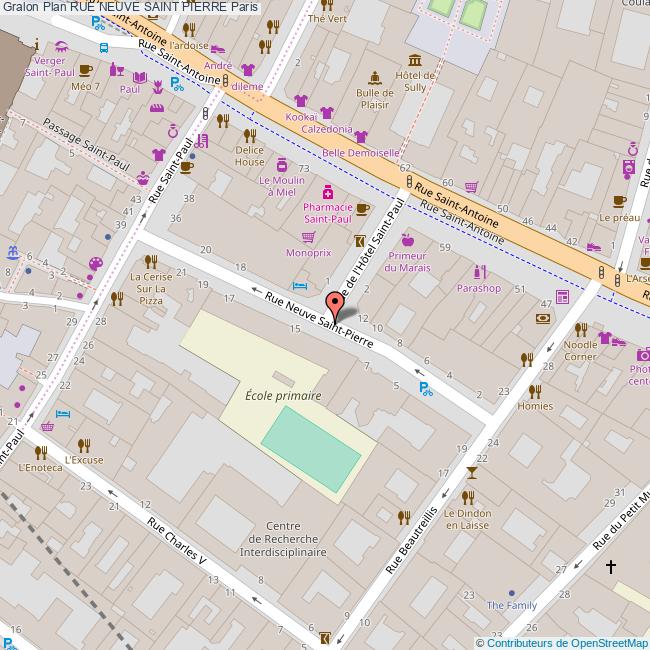 Rue NEUVE SAINT PIERRE Paris