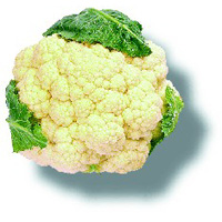 Chou-fleur informations calories Chou-fleur Chou-fleur informations calories Chou-fleur