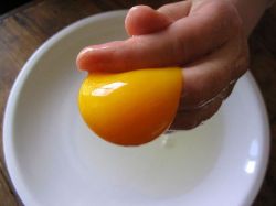 Un petit cours de calorie d une mandarine