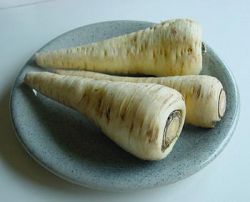Panais informations calories Panais Panais informations calories Panais