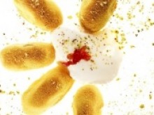 Restaurant Le Mont Liban