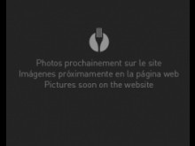 Restaurant Gourmandises (sarl)