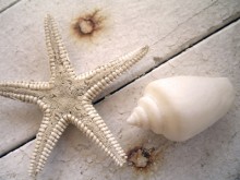 Restaurant L'homardine