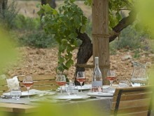 La Coquillade - Le Bistrot Et Son Jardin Dans Les Vignes