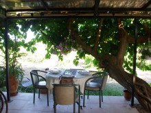 Restaurant Le Clos Des Vignes