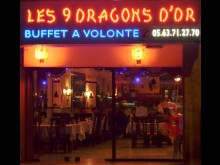 Les 9 Dragons D'or