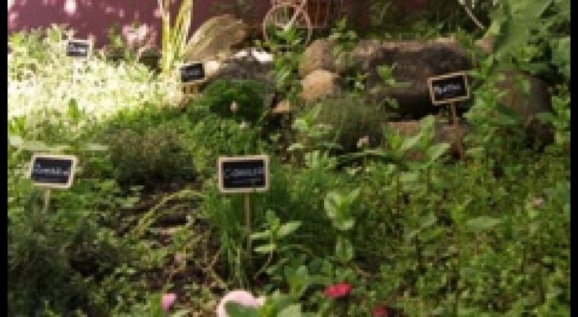 Restaurant Mon Jardin Secret Saint-etienne