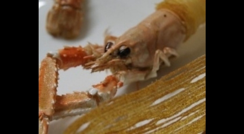 L'ephémère  Ciboure