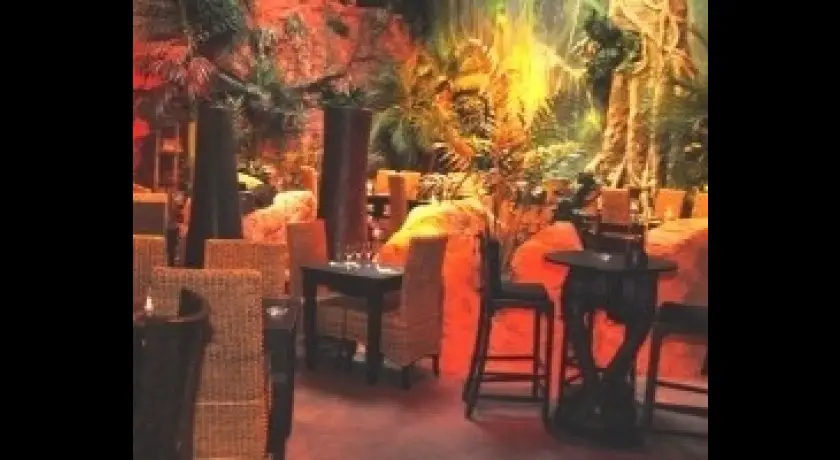 Restaurant Jungle Café Anglet