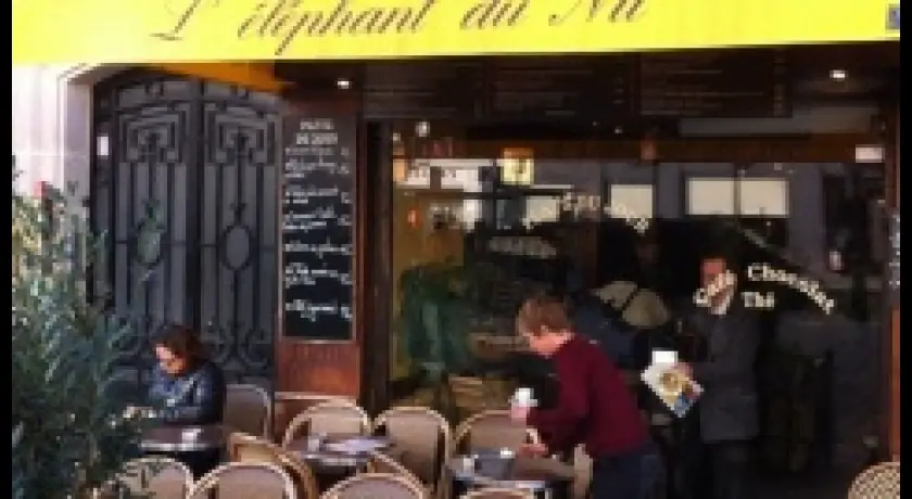 Restaurant L'Éléphant Du Nil Paris