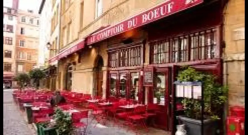 Restaurant Le Comptoir Du Boeuf Lyon