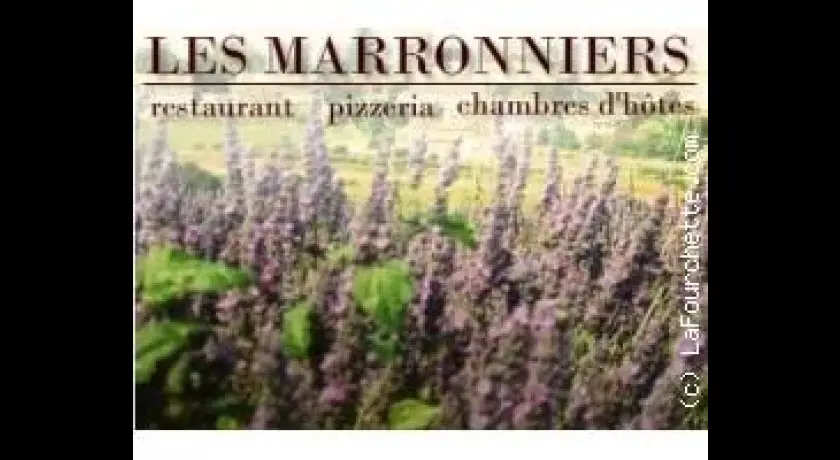 Restaurant Les Marronniers Revest-du-bion
