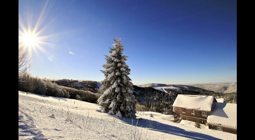 Restaurant Auberge Refuge Du Sotré Xonrupt-longemer