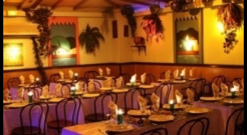 Terra Do Samba Paris