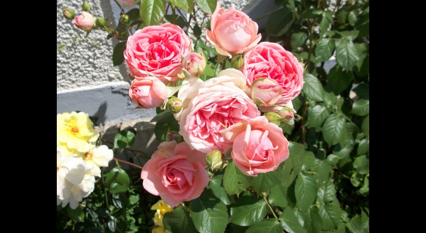 Restaurant La Luna Méré