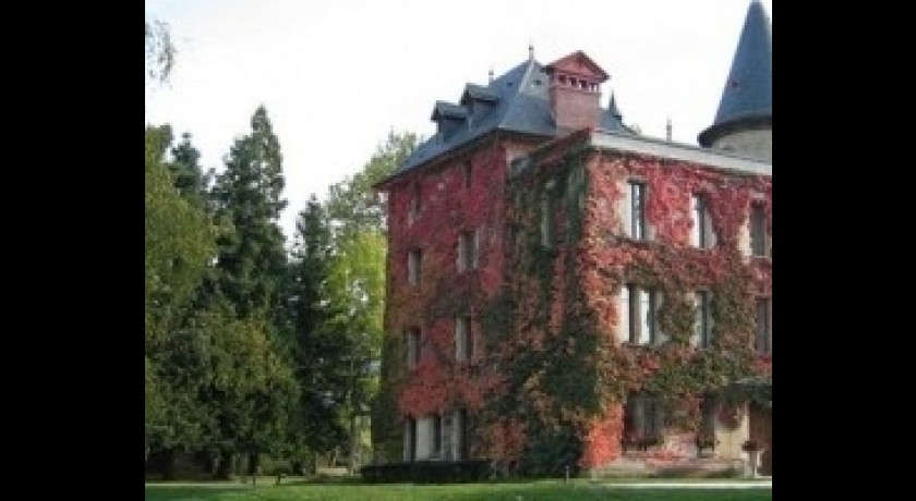 Château De La Tour Du Puits Coise-saint-jean
