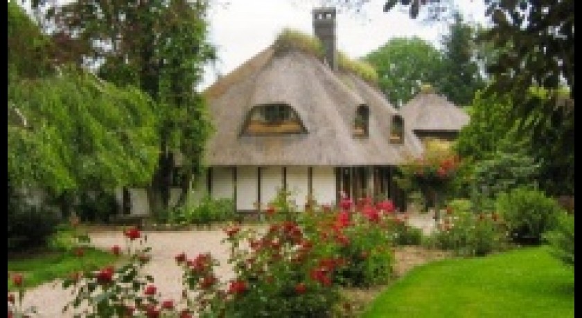 Le Petit Coq Aux Champs  Campigny