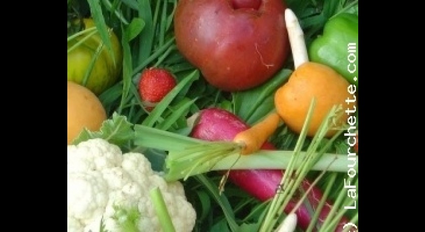 Restaurant Le Julienas - Fabrice Roche Villefranche-sur-saône