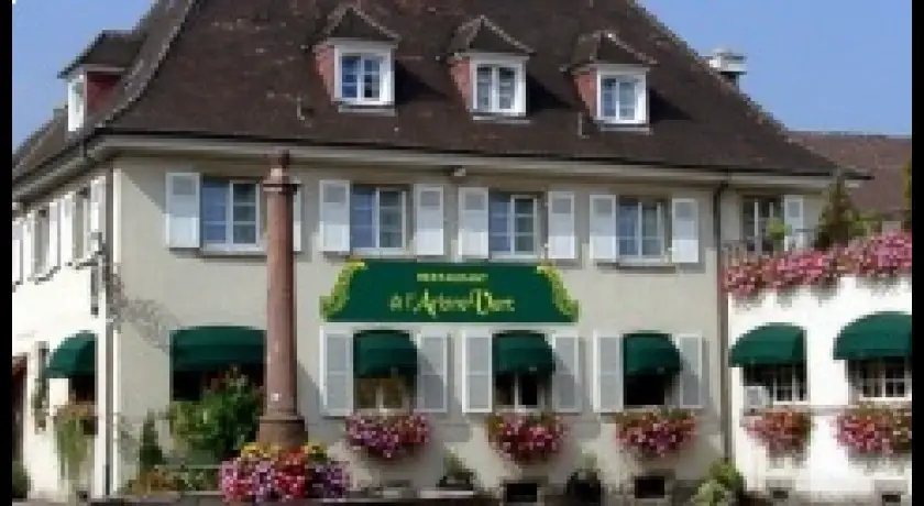 Restaurant à L'arbre Vert Ammerschwihr