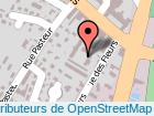 adresse CHRONO-SERVICES ALBERTVILLE