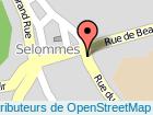 adresse COLLONNIER Selommes