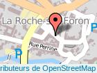 adresse FGV LA ROCHE-SUR-FORON