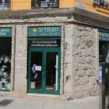 Arbres décoratifs sur troncs naturels
