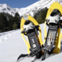 Activités outdoor et incentive