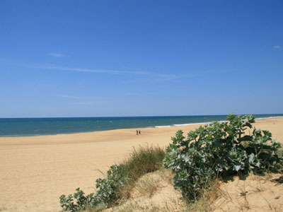 plage-1f1dd.jpg