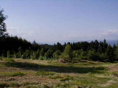 ARBORETUM DE CHARVOLS