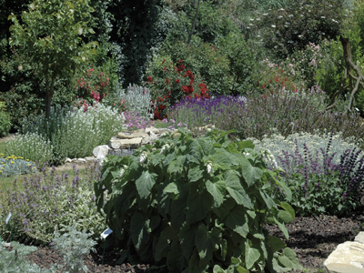 Jardin aux plantes parfumées La Bouichère