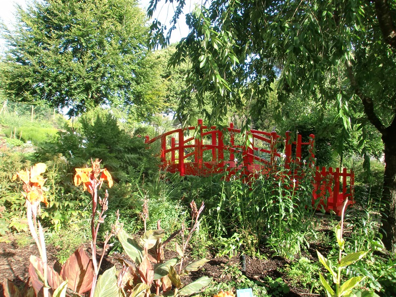 Jardin Botanique