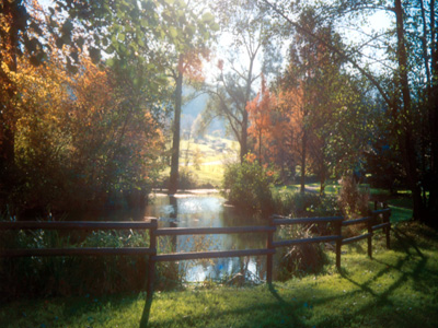 JARDIN BOTANIQUE DU MONTET