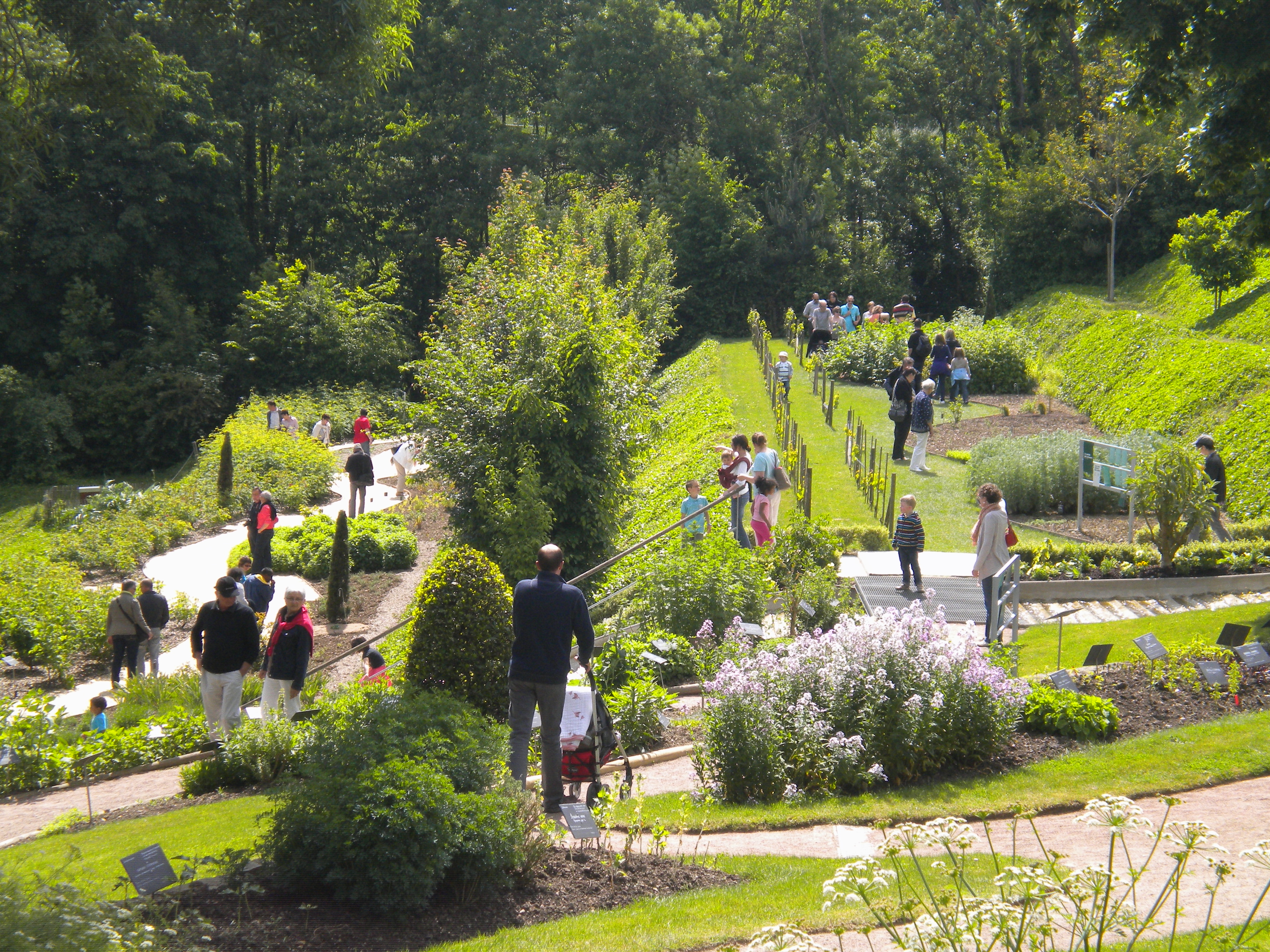 Jardin Camifolia