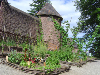 JARDIN MÉDIÉVAL DU CHÂTEAU DU HAUT-KOENIGSBOURG