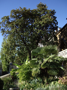 JARDINS DE  LA CASAMAURES