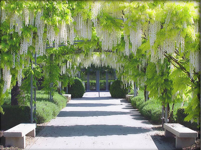 Jardin du Musée d'Art Américain