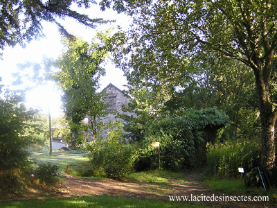 La CitÉ Des Insectes Nedde