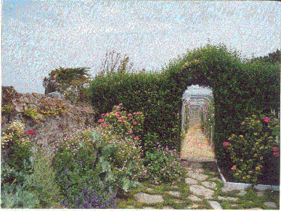 jardin dior