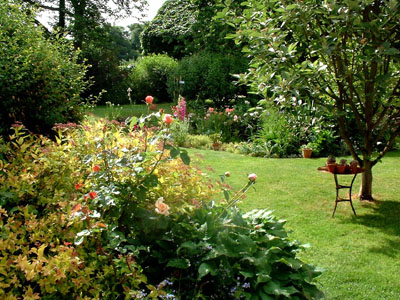 Le Jardin Du Pic-vert Tilloy Les Conty
