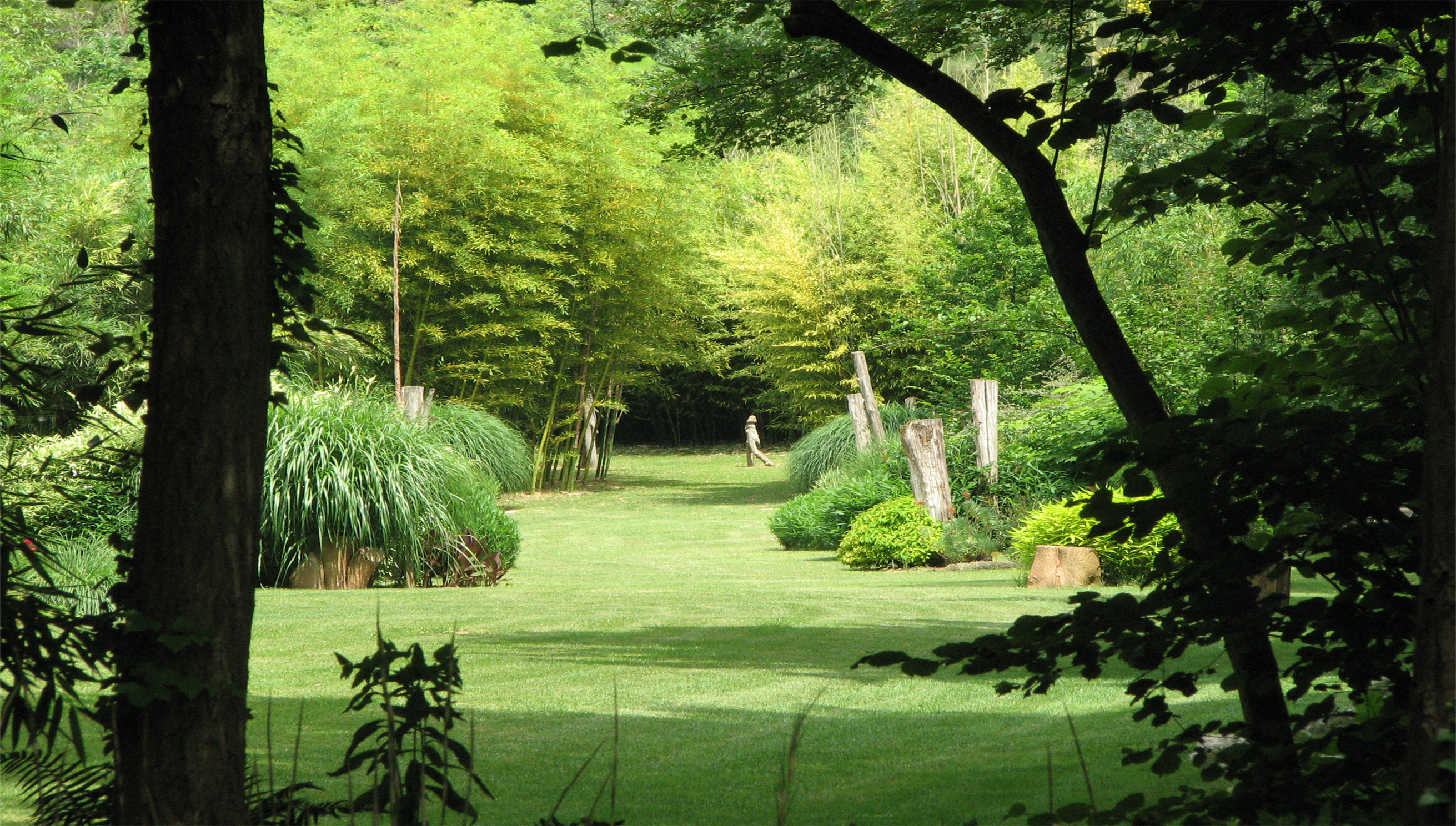 LE PARC AUX BAMBOUS