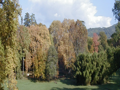 LE PARC DU MOULIN BLANC