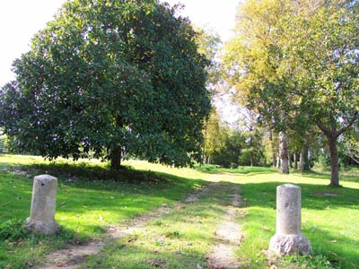 PARC DU CHÂTEAU DE LA GUIGNARDIÈRE