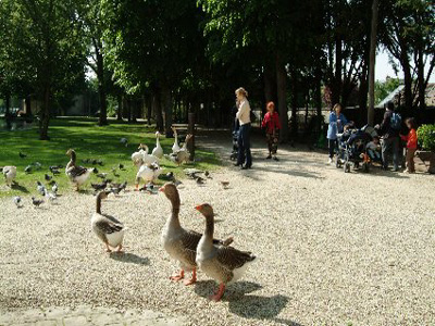 PARC DU CHÂTEAU SOUBIRAN