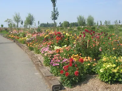 Parc floral à la ferme