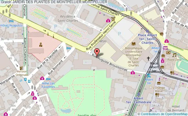 plan Jardin Des Plantes De Montpellier Montpellier