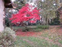 Les Jardins De Nigelle