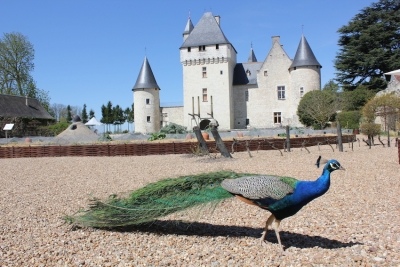 JARDINS DU CHÂTEAU LE RIVAU
