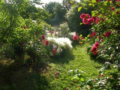 JARDIN DE BOISSONNA